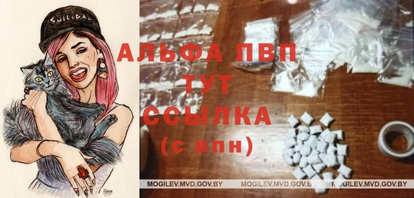альфа пвп Бердск
