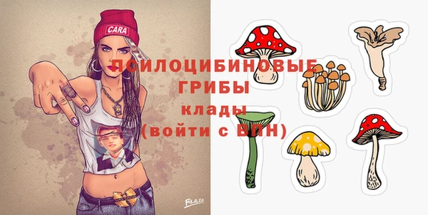 альфа пвп Бердск